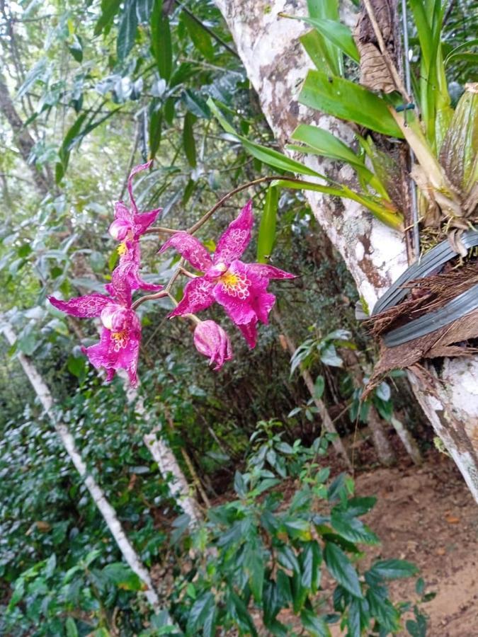 Casa De Campo Banheira, Lareira E Cachoeira Педра-Азул Экстерьер фото